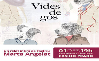 VIDES DE GOS